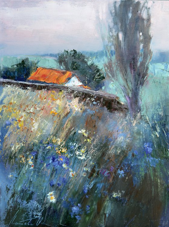Rural landscape. Field grasses