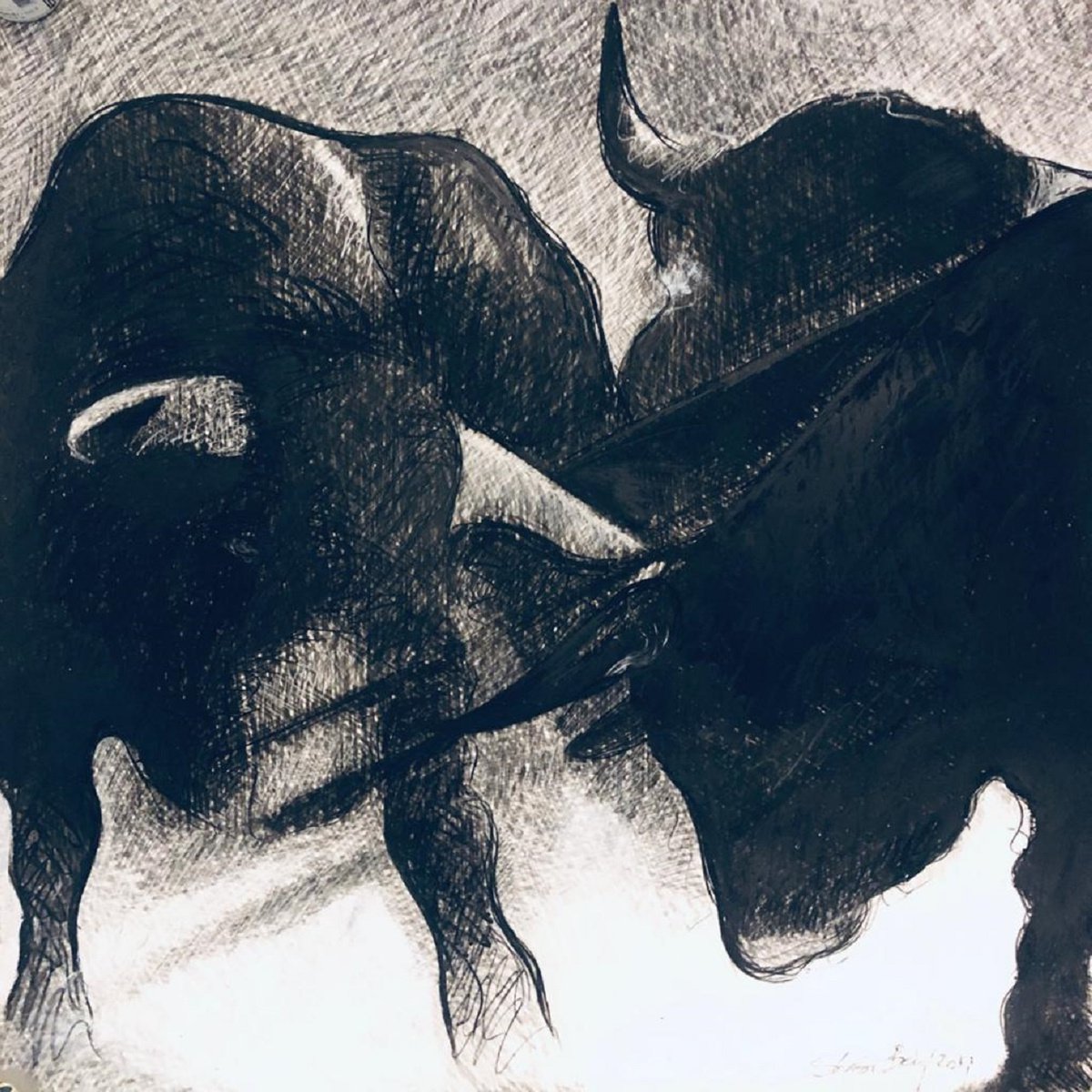 Impressionistic Animal Charcoal Drawing By Shabs Beigh, 39 X 39", Bull Fight 2, Original Artwork