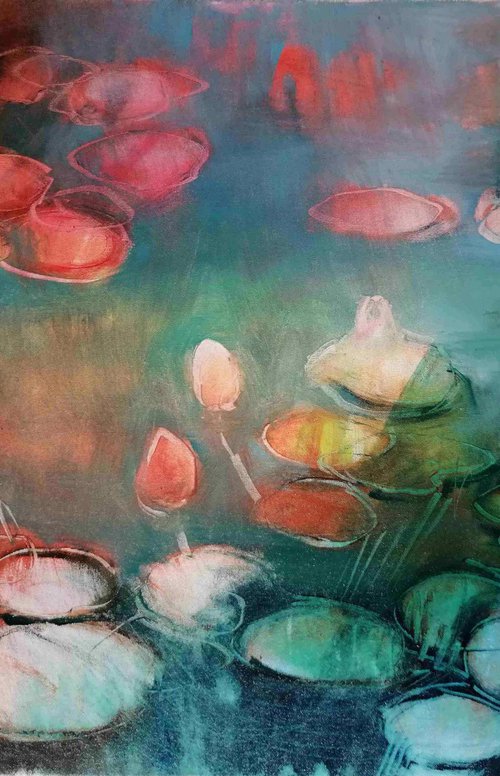 Water lilies by Olga David