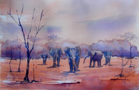 elephants