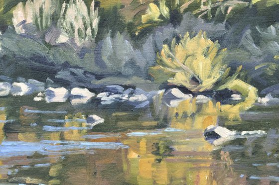 Autumn light on the Loire