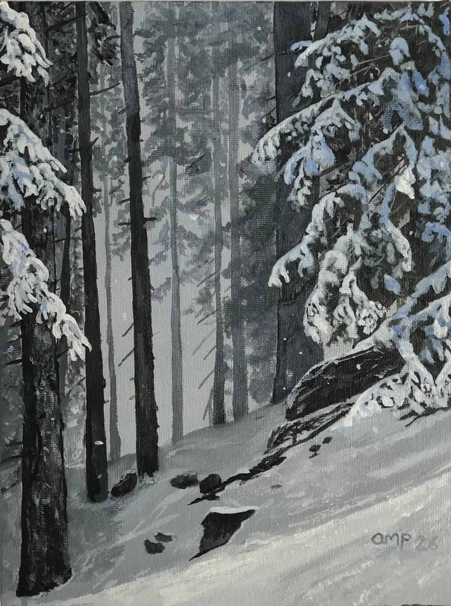Winter Woods By Alastair Paynter, 9 X 12, Artwork For Sale On Artfinder