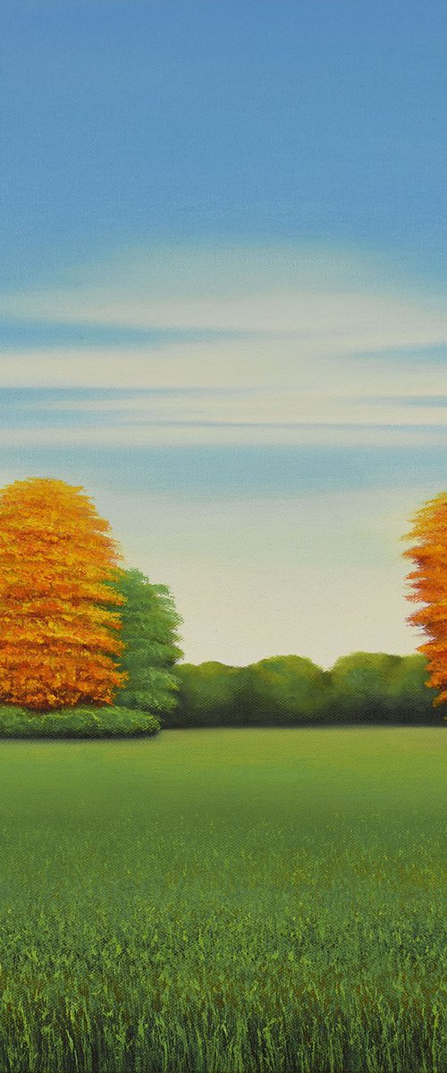 Golden Fall Trees - Blue Sky by Suzanne Vaughan