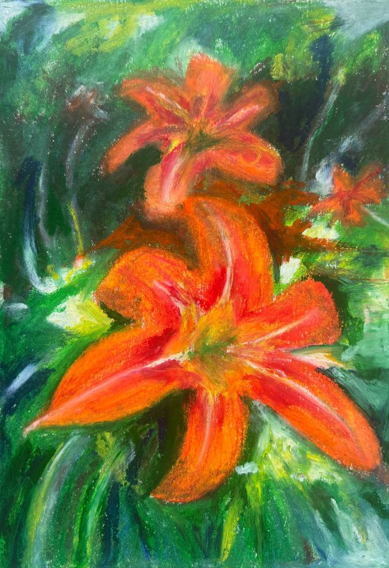Fire Lily
