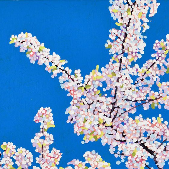 Cherry Blossom #8