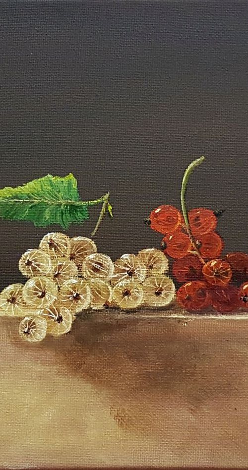 Red & White by Diana Janson