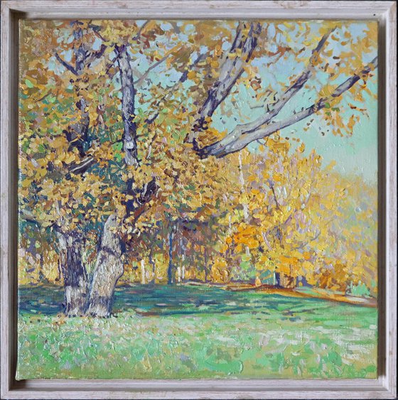 Oak tree in Tsaritsyno in October