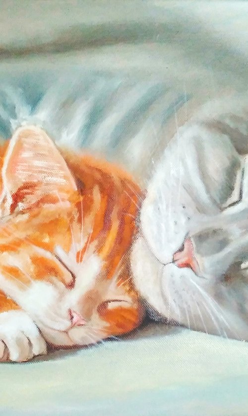 Sleeping Cat and Kitten by Yulia Berseneva