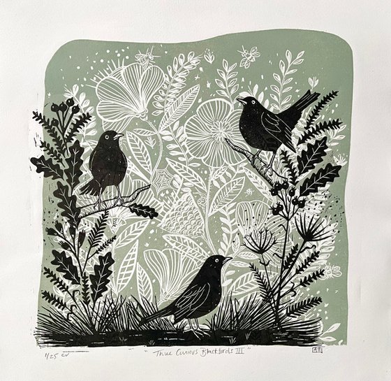 Three Curious Blackbirds III