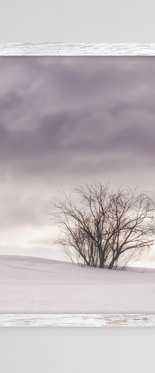 White Italian Scape #13 by Karim Carella