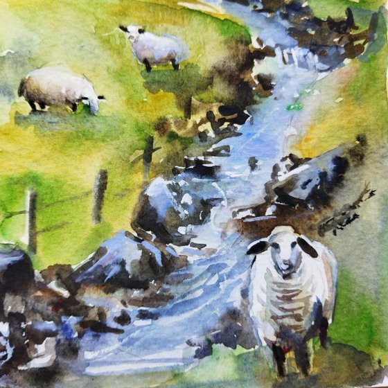 Scottish landscape with sheep