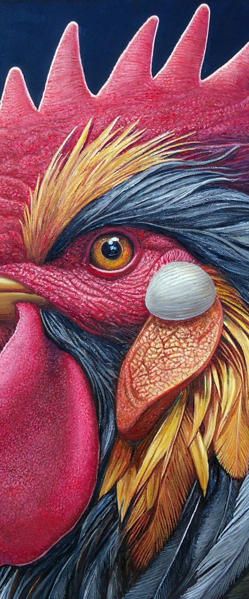 "Herald Authority" by Grigor Velev