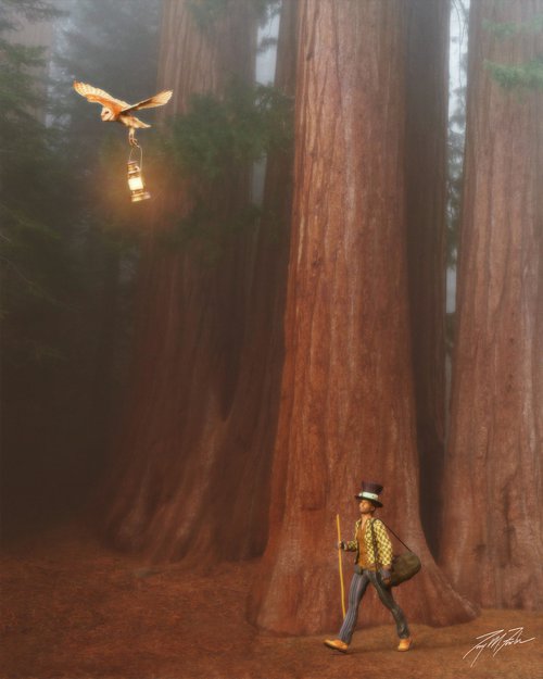 Redwood Compass by Tony Fowler