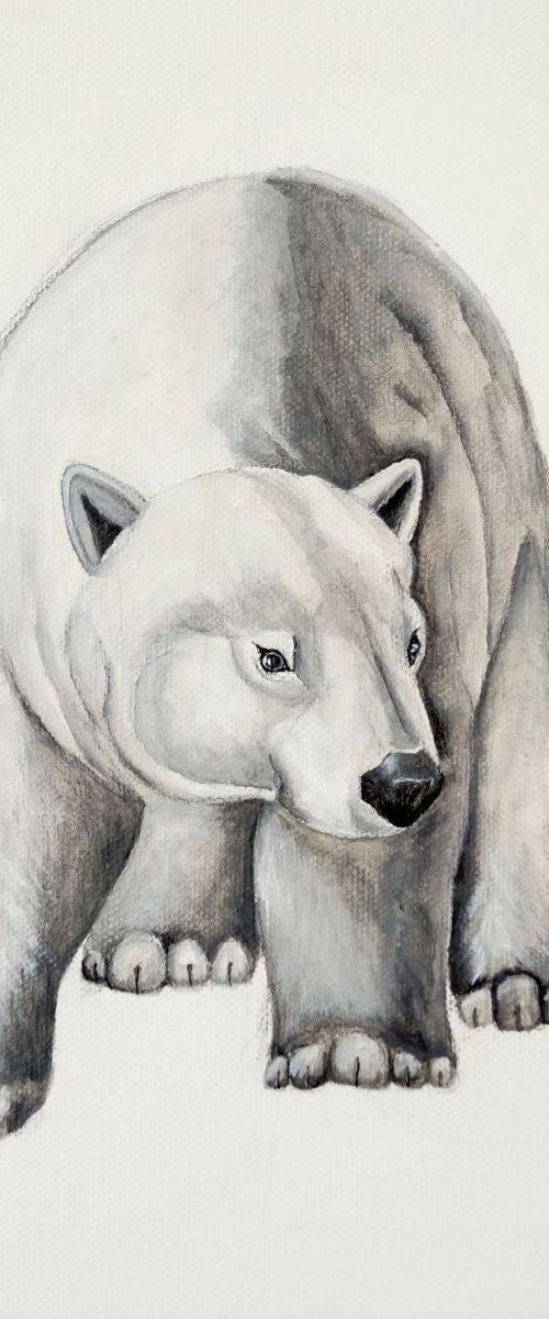 Polar Bear by Nadia Moniatis