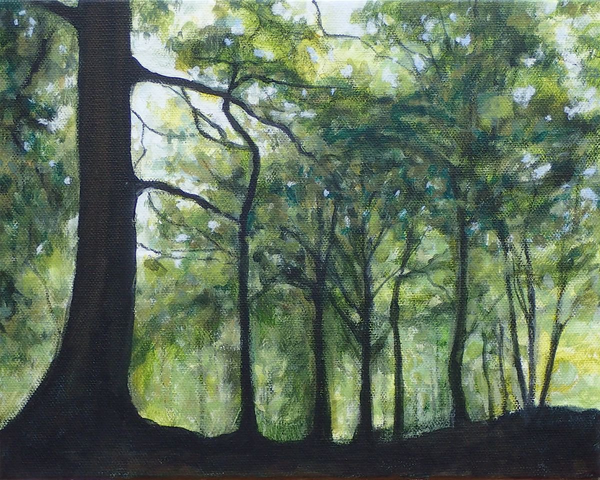 Meanwood beech tree silhouette by Kyla Dante