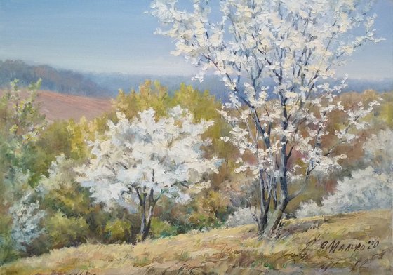 Spring views. Calm / Flowering hills. Blue horizon. Original painting