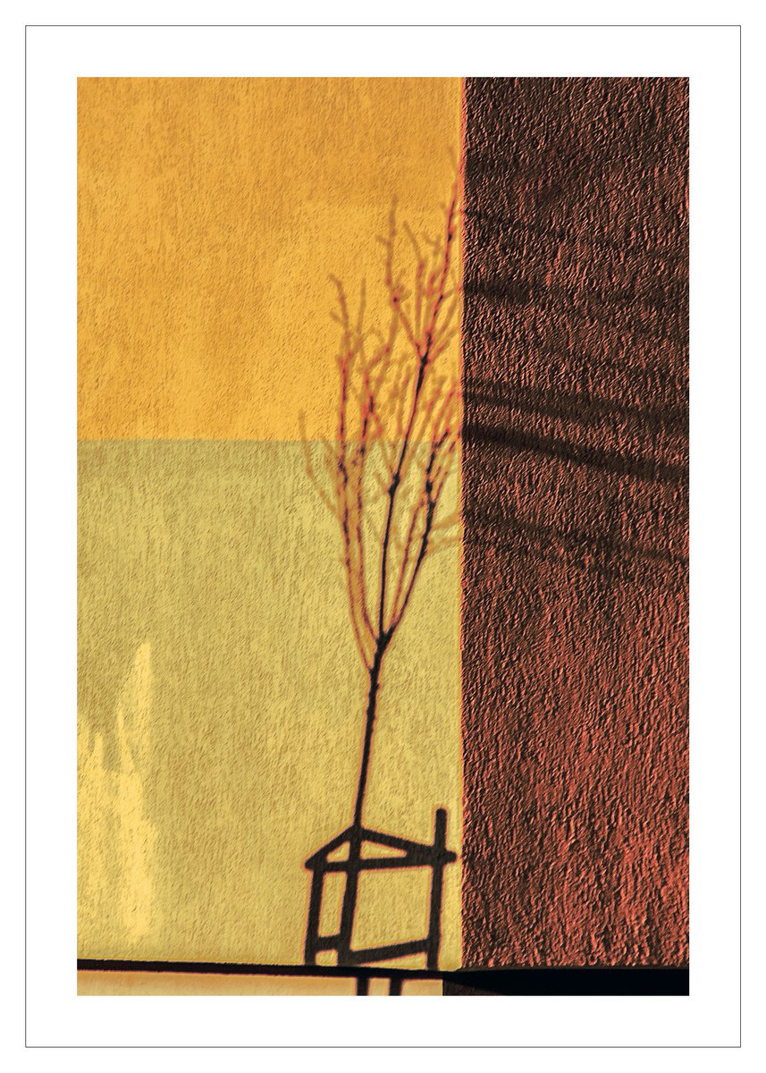 Geometric Abstract Photograph By Beata Podwysocka, 20 X 28, Once Upon A Tree 8, Original Artwork