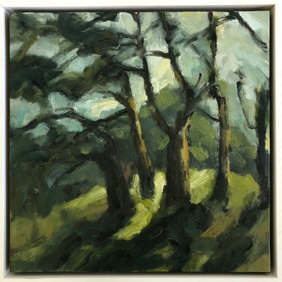 midwinter sun