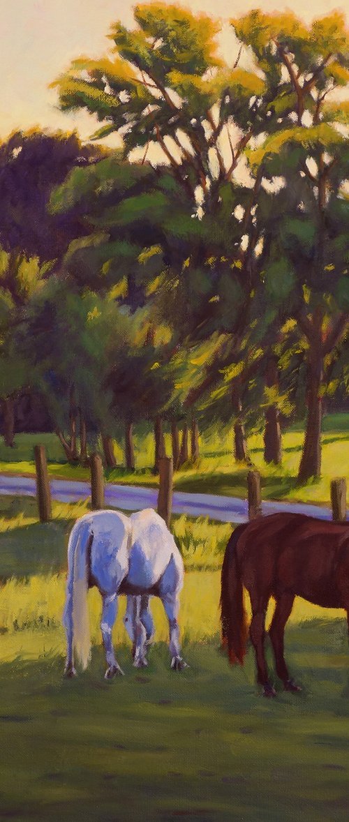 Horses Grazing by Daniel Fishback