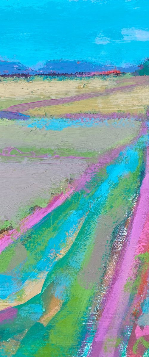 Skylark Fields by Chrissie Havers