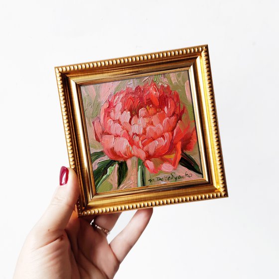 Coral peony flowers painting framed small art, Oil painting original of flowers