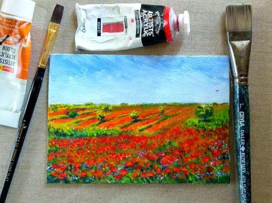 Miniature Poppy meadow landscape