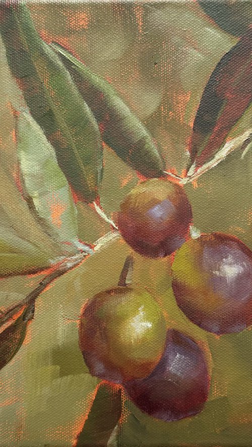 Olives by Kateryna Boykov