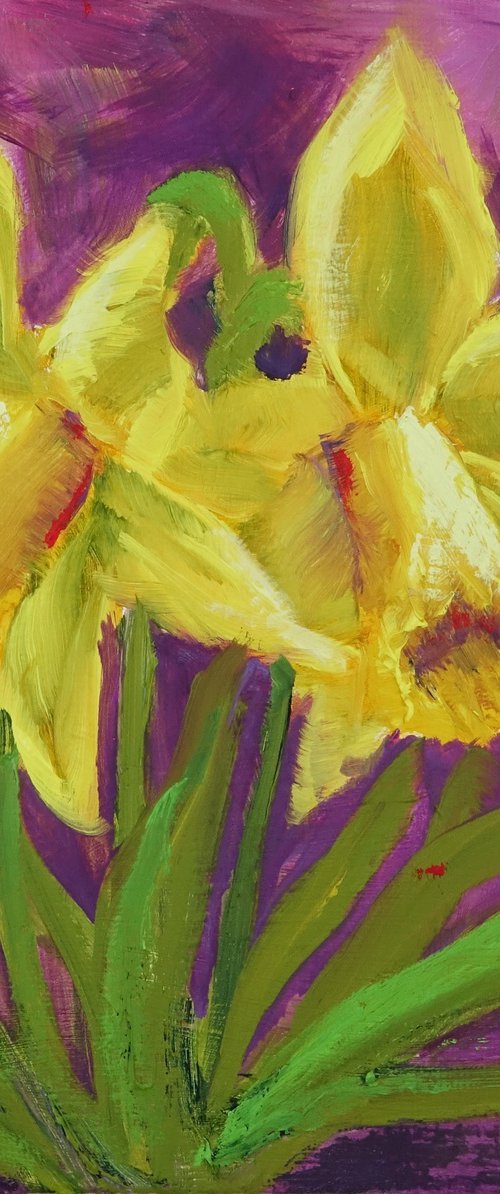 Two Daffodils by Marion Derrett