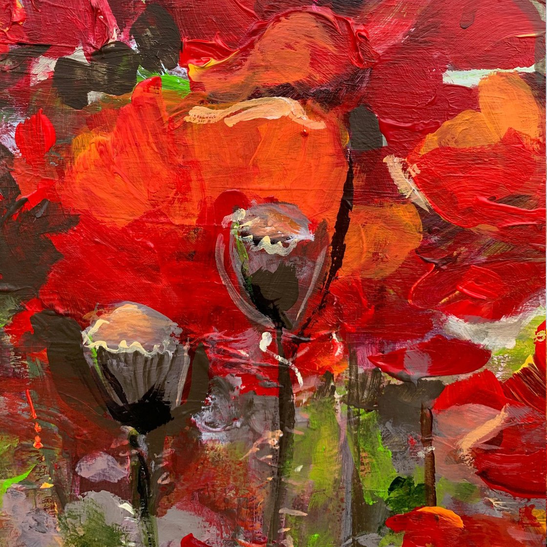 Born to Stand Out, poppies, flowers, 9