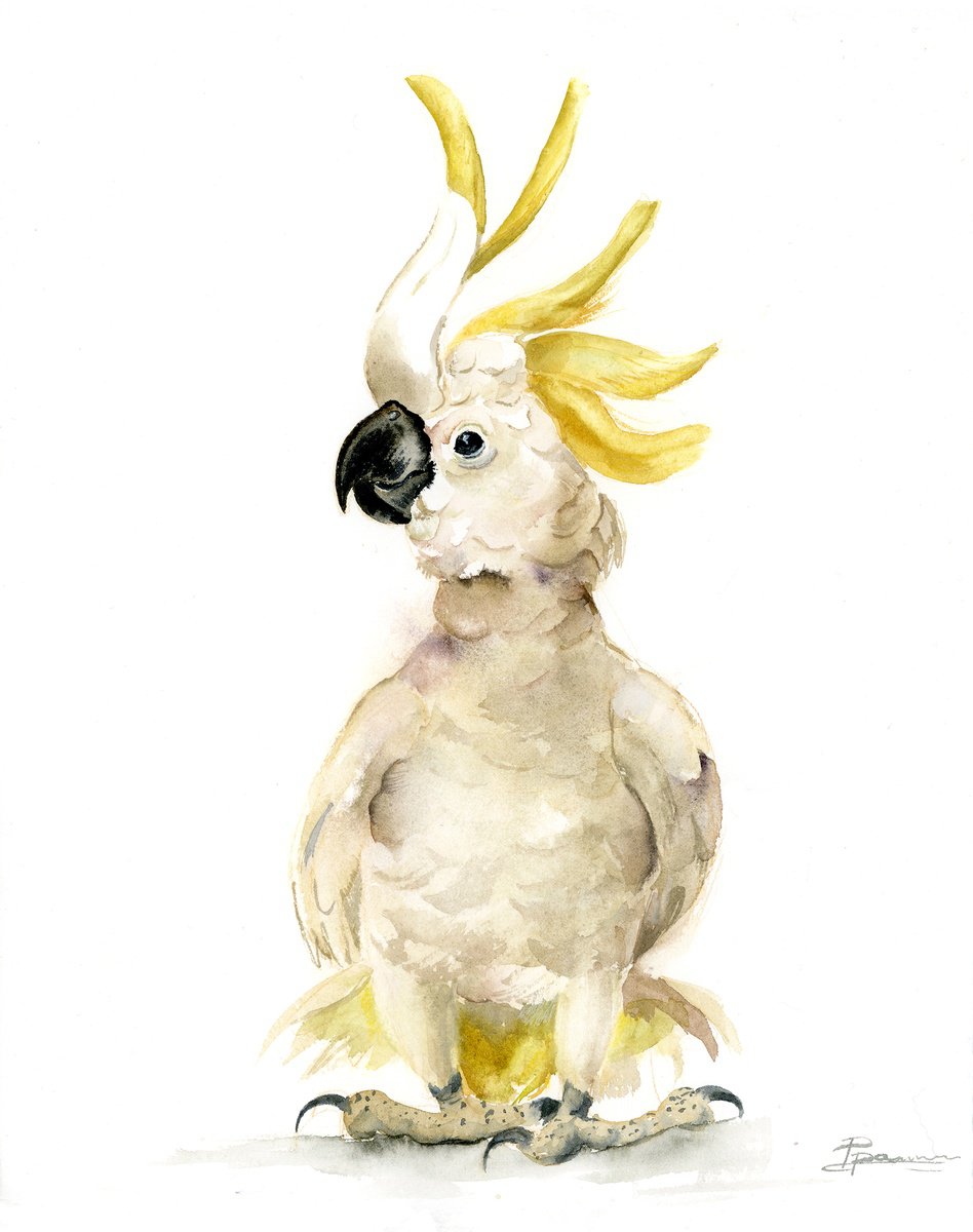 Illustrative Animal Watercolour By Olga Tchefranov (Shefranov), 10 X 13", White Cockatoo Parrot, Original Artwork