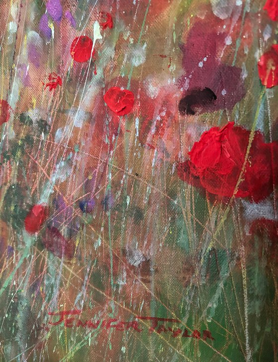 Poppy Garden Dream