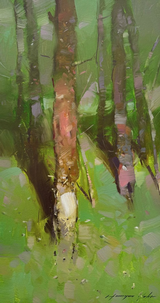 Forest Trees