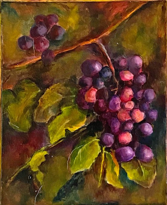 Grapes on the Vine Realistic oil painting 11x14 fully framed