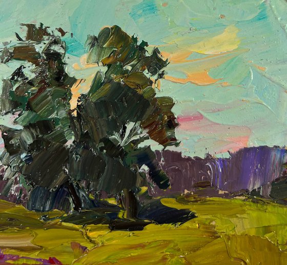 Sunny Days and Boundless Joy of Nature