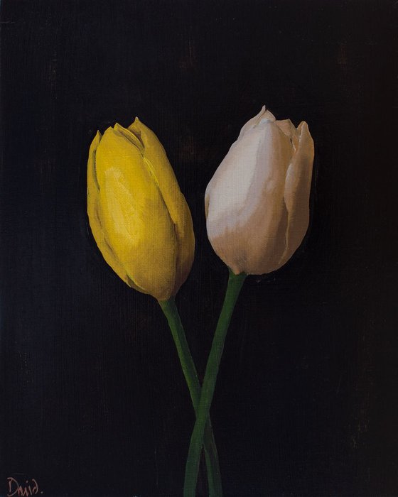 Tulips (yellow and white)