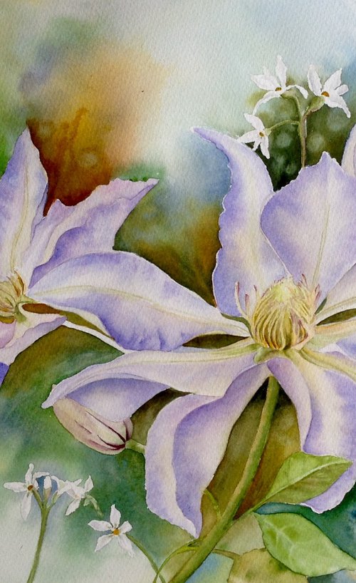 Lilac Clematis by Carol Staines