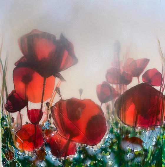 Field of poppies - Original & Limited Edition Prints Available