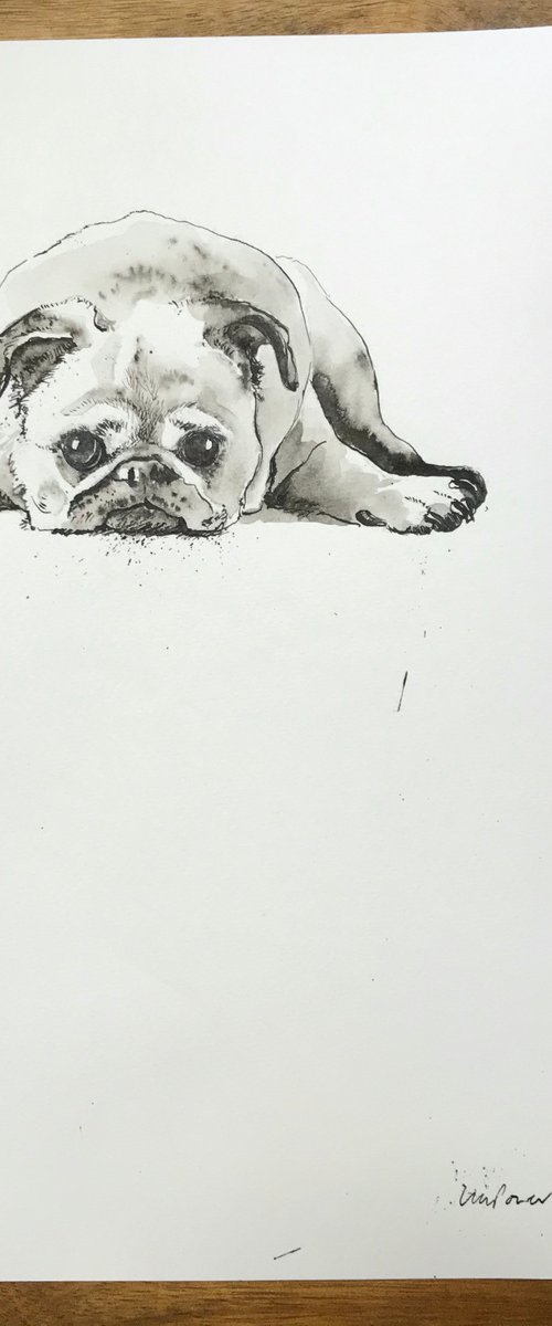 Pug by Luci Power