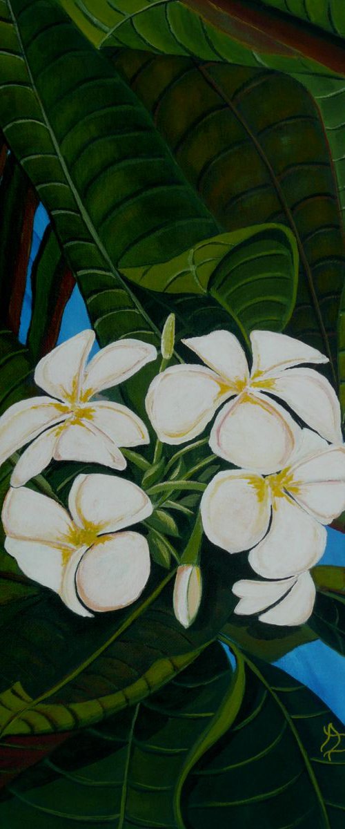 In The Tropics by Dunphy Fine Art