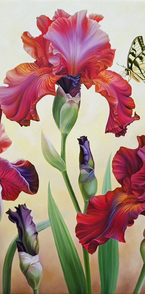 "Bright colors of summer", red irises with butterfly by Anna Steshenko