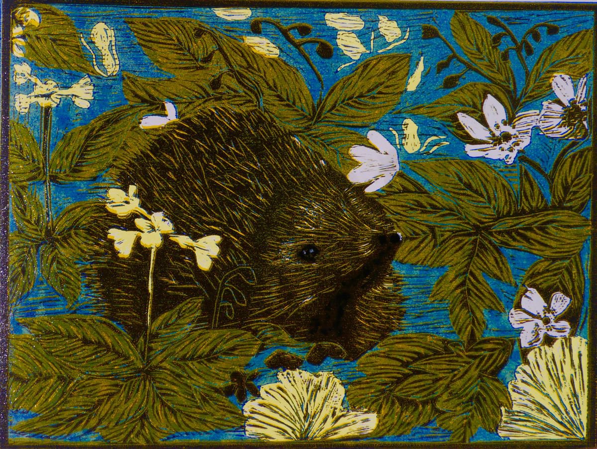 Hedgehog 1 by Gill Bedson