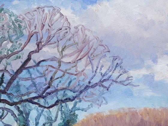 A March Landscape