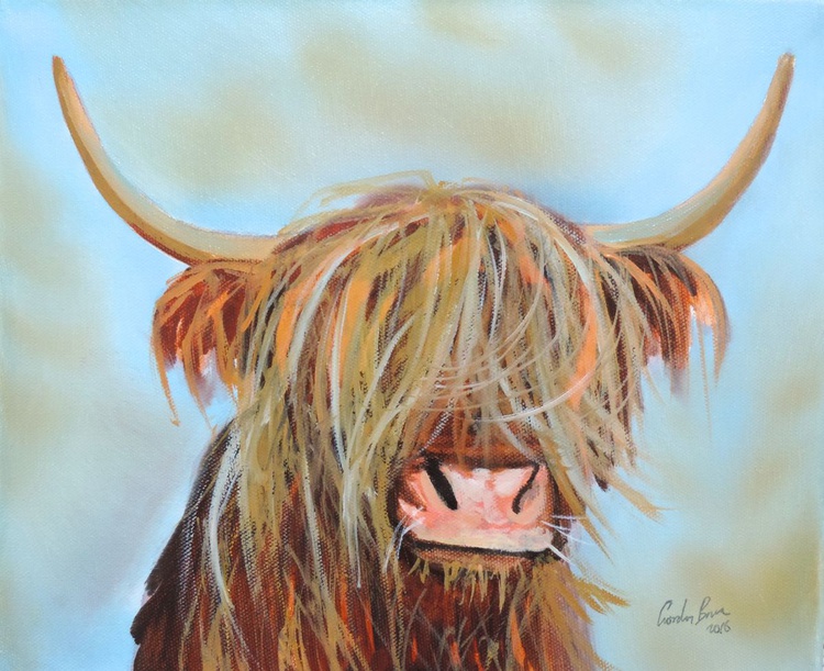 Highland Cow Oil Painting By Gordon Bruce Artfinder