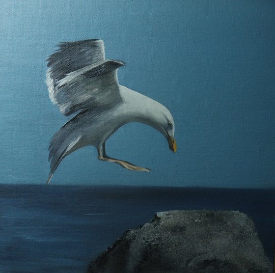 Voice of the Sea Series - Seagull in Flight,  Bird Art by Alex Jabore
