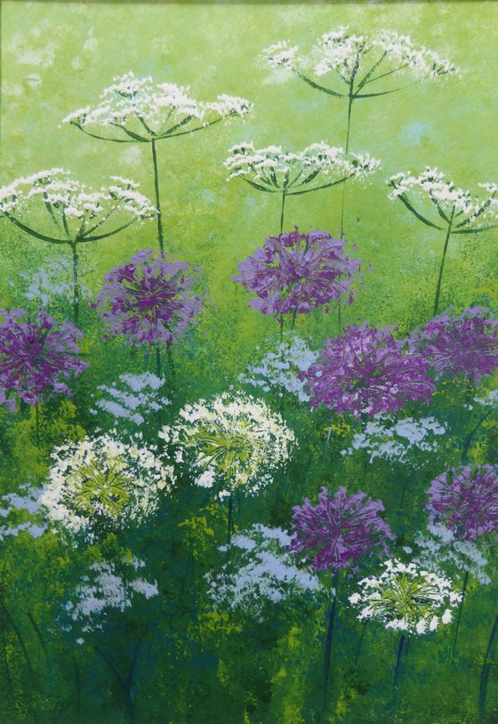 Alliums and Cow Parsley