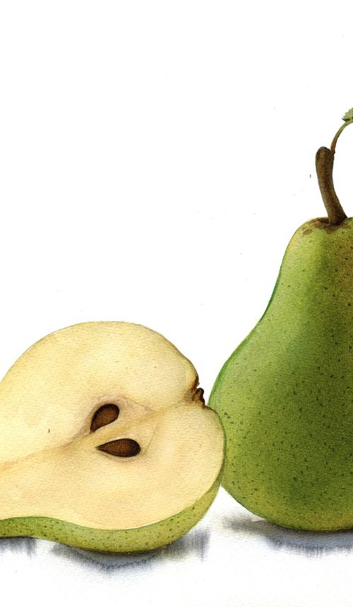 Pears by REME Jr.
