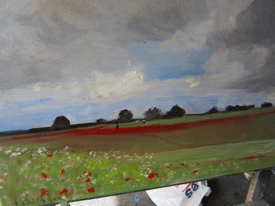 Poppy Field,