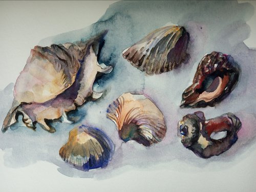 Six Seashells by Oxana Raduga