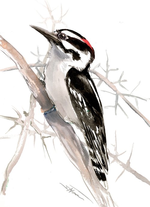 dawny woodpecker by Suren Nersisyan