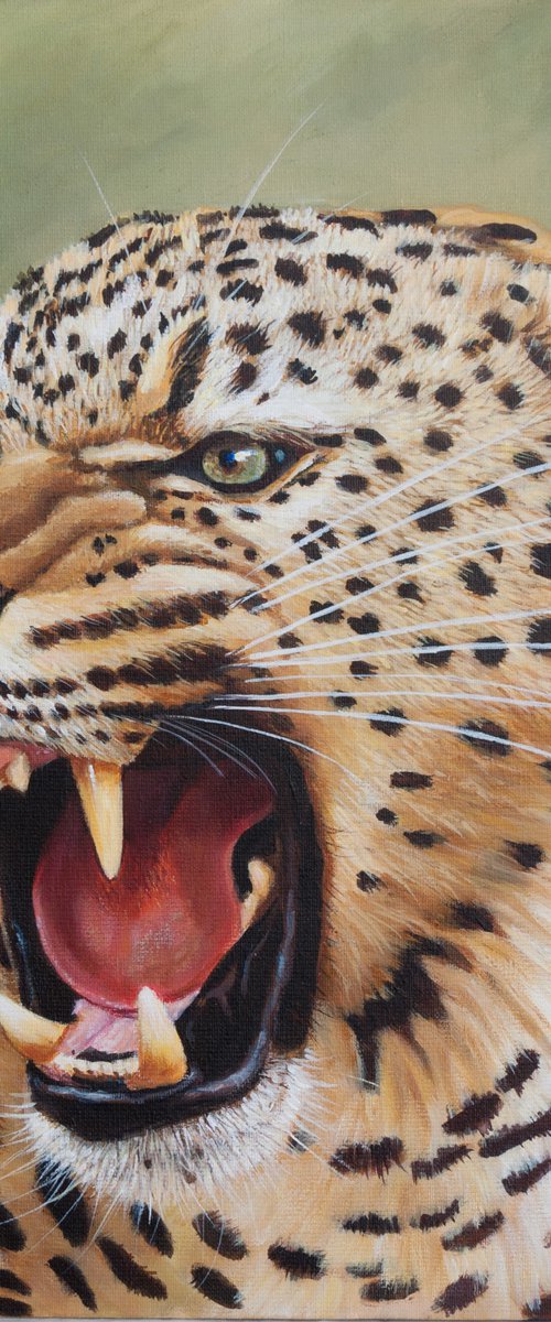 Angry leopard by Norma Beatriz Zaro